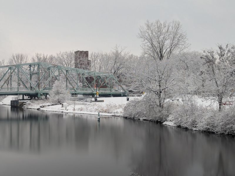 snowy bridge and trees